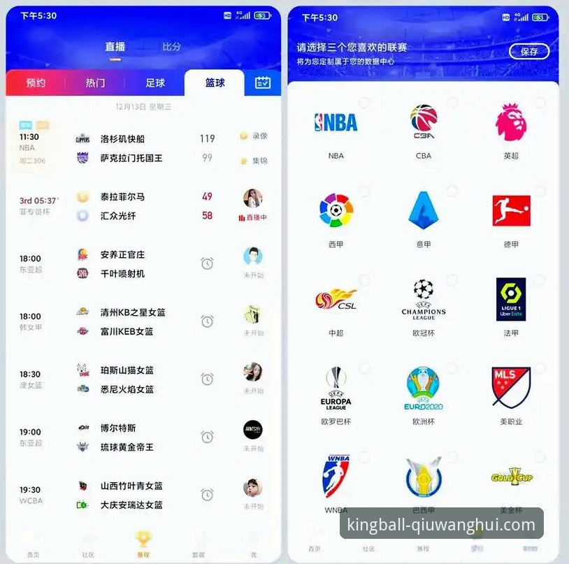 球王会官网APP下载 vs. 网页访问：移动端体育娱乐的终极选择